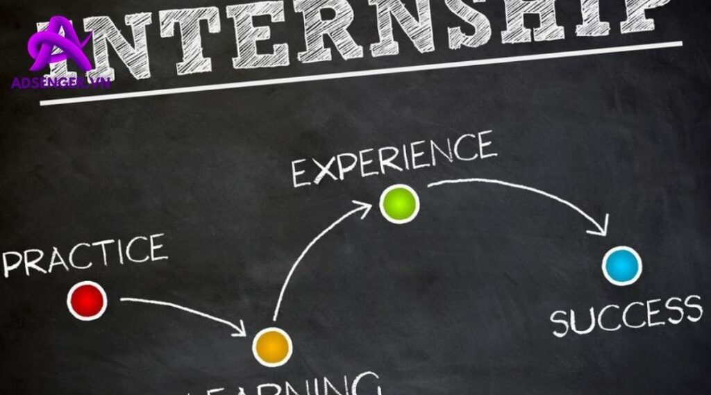 Internship Là Gì? Cách Ghi Điểm Trong Suốt Kỳ Thực Tập